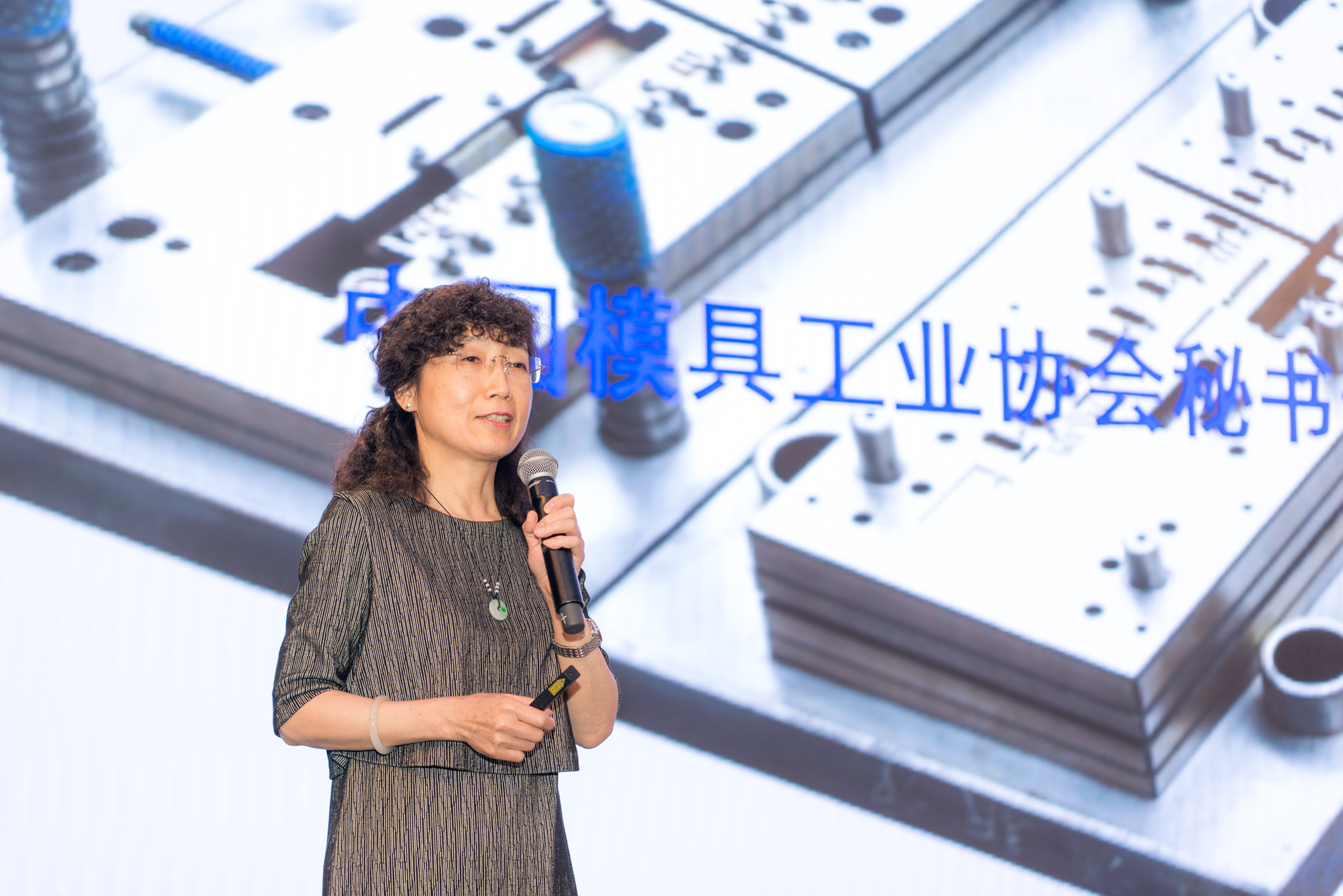 模具研讨|“智造”落地，富彩三坐标助力“数字北仑”建设(图2)